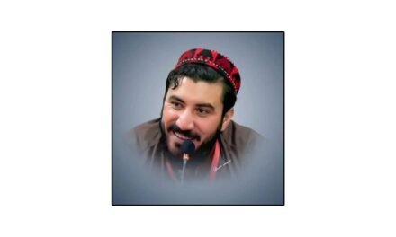 د پښتون ژغورنې غورځنګ لاس ته راوړنې او له دوي نه غوښتنې