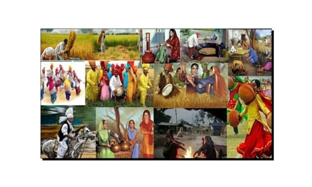 ثقافت سے کیا مراد ہے…؟