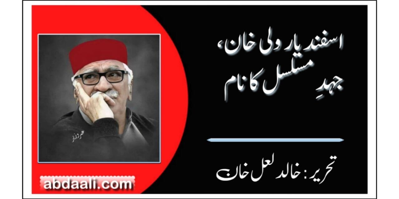 اسفندیار ولی خان، جہدِ مسلسل کا نام