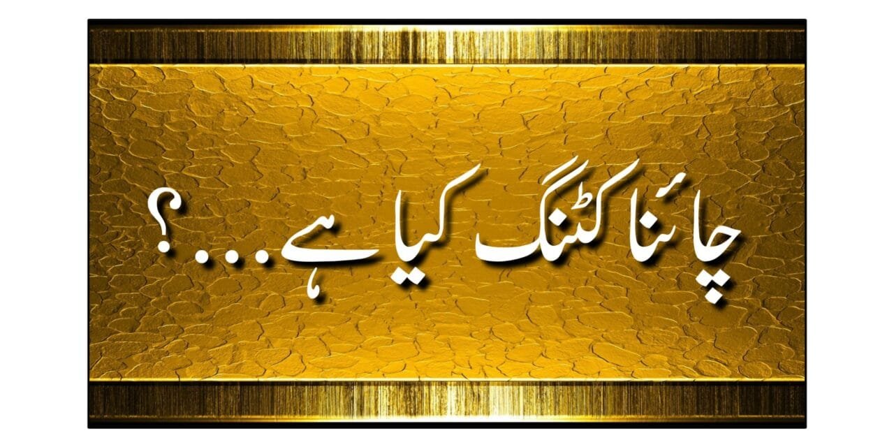 سیاسی اصطلاح "چائنا کٹنگ” سے کیا مراد ہے…؟