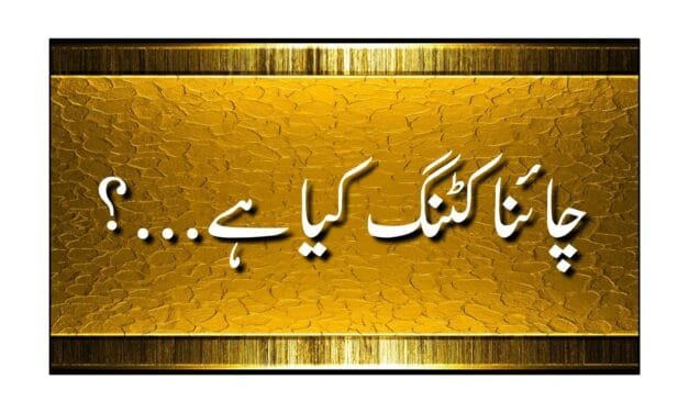 سیاسی اصطلاح "چائنا کٹنگ” سے کیا مراد ہے…؟