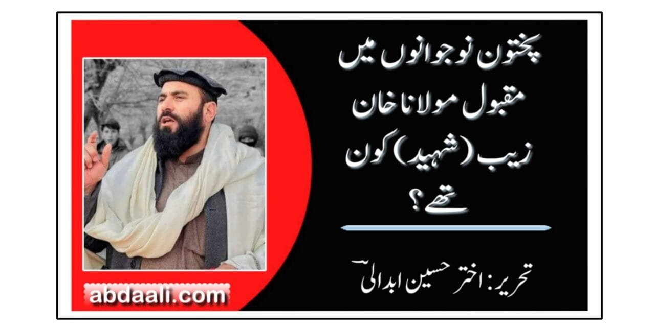 پختون نوجوانوں میں مقبول مولانا خان زیب کون تھے؟