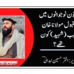 پختون نوجوانوں میں مقبول مولانا خان زیب کون تھے؟