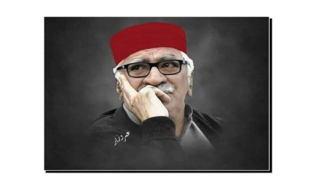 اسفندیار ولی خان، پختون سیاسی تاریخ کا عظیم پارلیمانی لیڈر