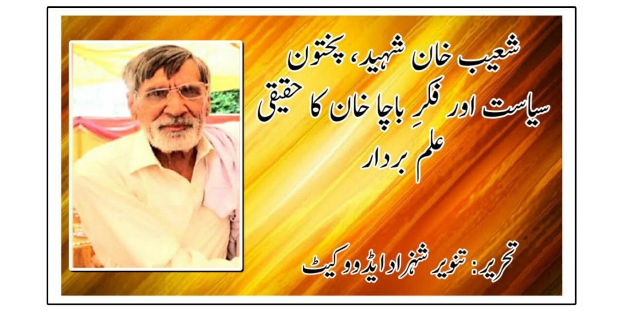 شعیب خان شہید، پختون سیاست اور فکرِ باچا خان کا حقیقی علم بردار