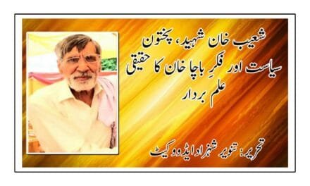شعیب خان شہید، پختون سیاست اور فکرِ باچا خان کا حقیقی علم بردار