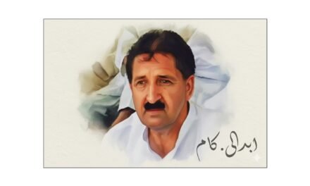 شہیدِ امن، فاتح خان شہید