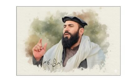 مولانا خان زیب، سیاسی بصیرت اور معاشرتی شعور کا استعارہ