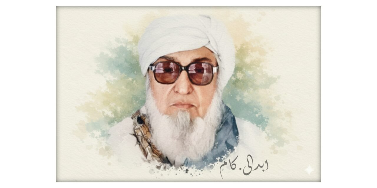 مولانا بجلی گھر، عوامی منبر کی گرج دار آواز