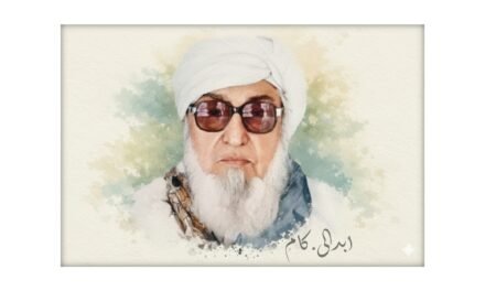 مولانا بجلی گھر، عوامی منبر کی گرج دار آواز